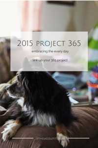 2015 Project 365 Embracing The Everyday with ifthesaddlefits.com