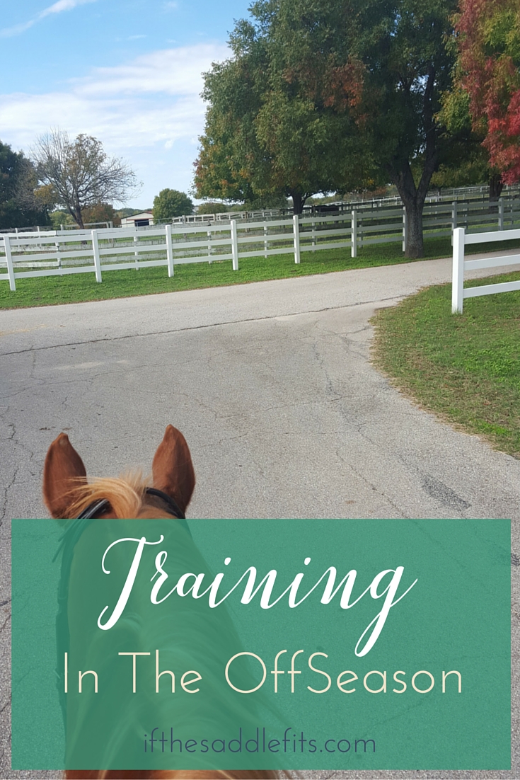 Training in The Off Season for horse and rider with ifthesaddlefits.comTraining in The Off Season for horse and rider with ifthesaddlefits.com