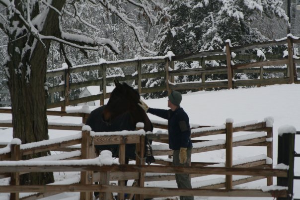 Valentine's Day - Celebrating the reluctantly horsey husband with ifthesaddlefits.com