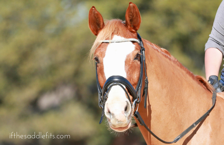 Ride Report on ifthesaddlefits.com